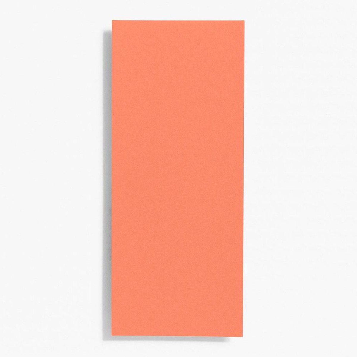 10 Papaya Note Cards