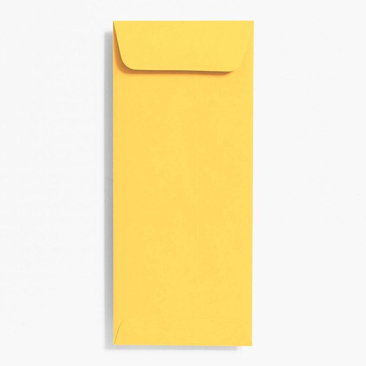10 Open End Curry Envelopes