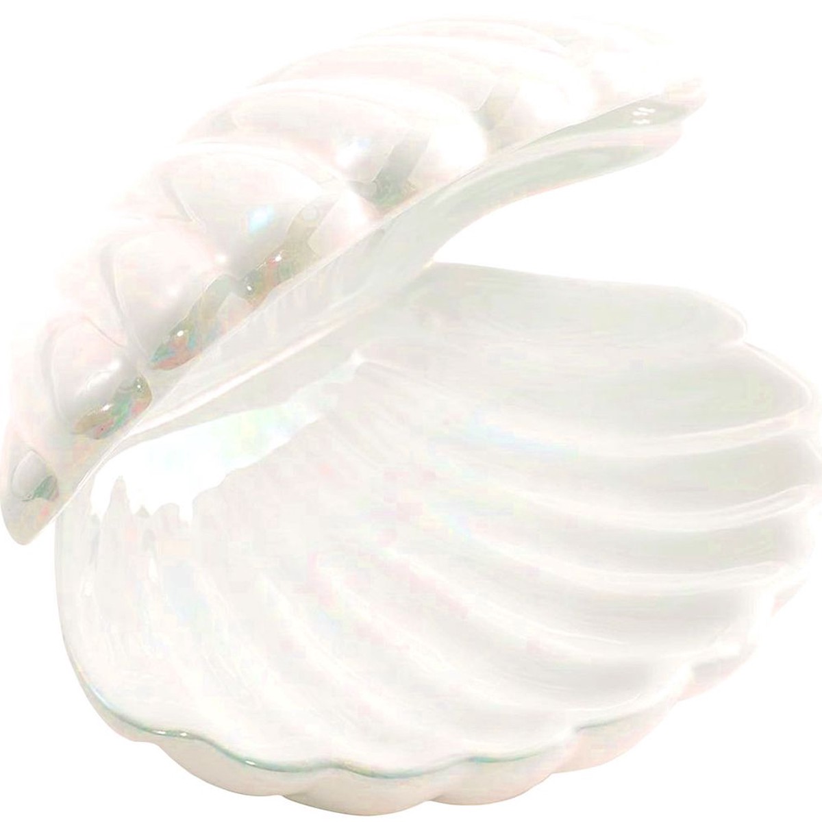 Clam Shell Dish