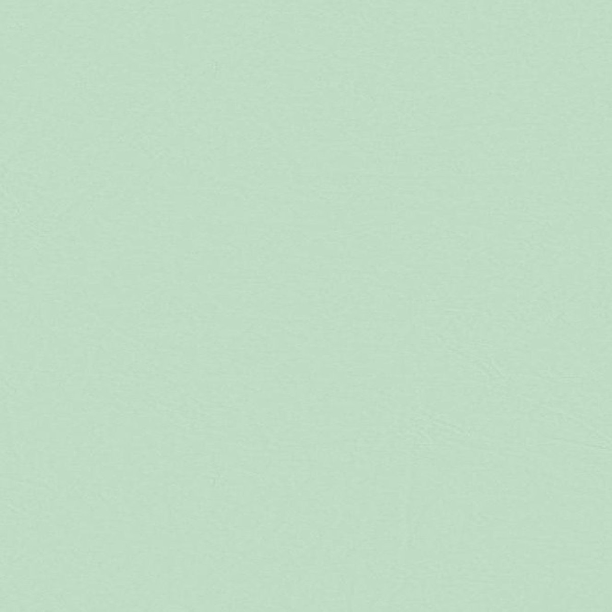Mint Tissue Paper